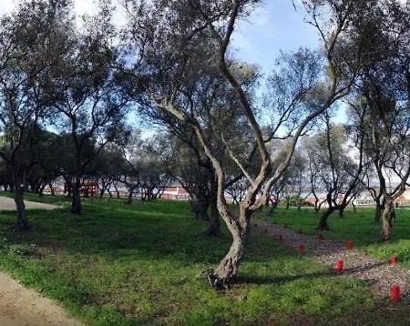 Quinta Da Estalagem 3 Seixal (Setubal)